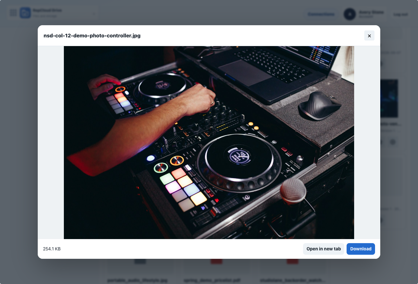 RepCloud Drive image preview with open and download actions