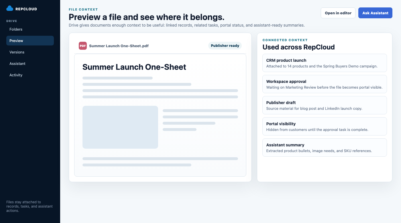 RepCloud Drive preview context screenshot